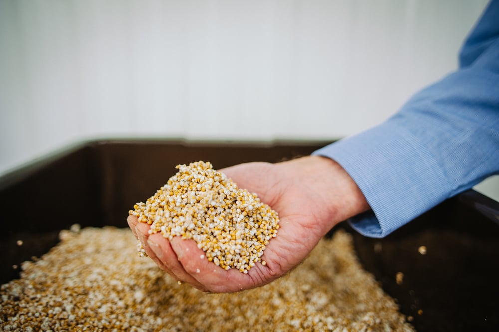 How Earthlight is Made